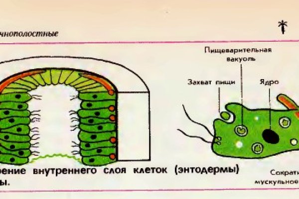 Кракен ссылка market pw